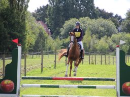 IMG_1246_web
